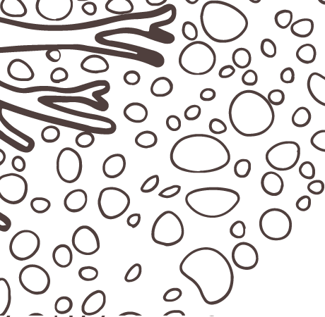 Юридические исследования